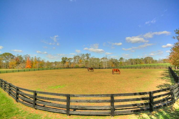 Bed and Breakfast Bluegrass Country Estate La Grange Exteriér fotografie